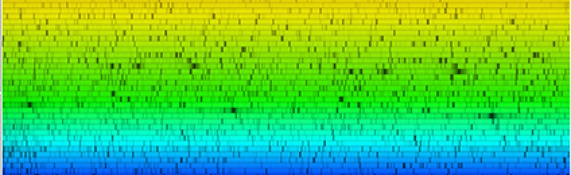 Neid_solarlines_feature